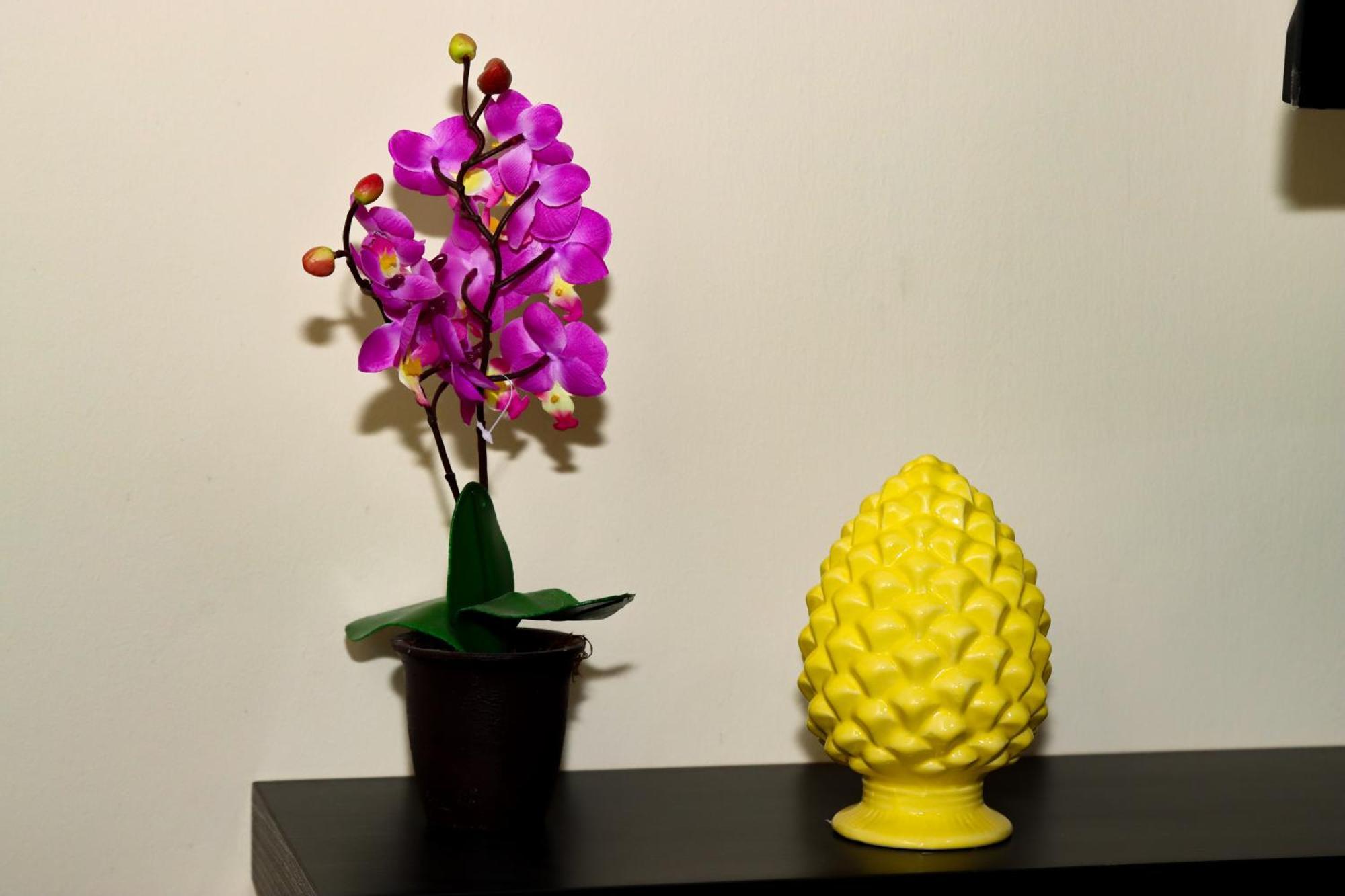 Alba E I Mori Bed & Breakfast Palermo Bagian luar foto